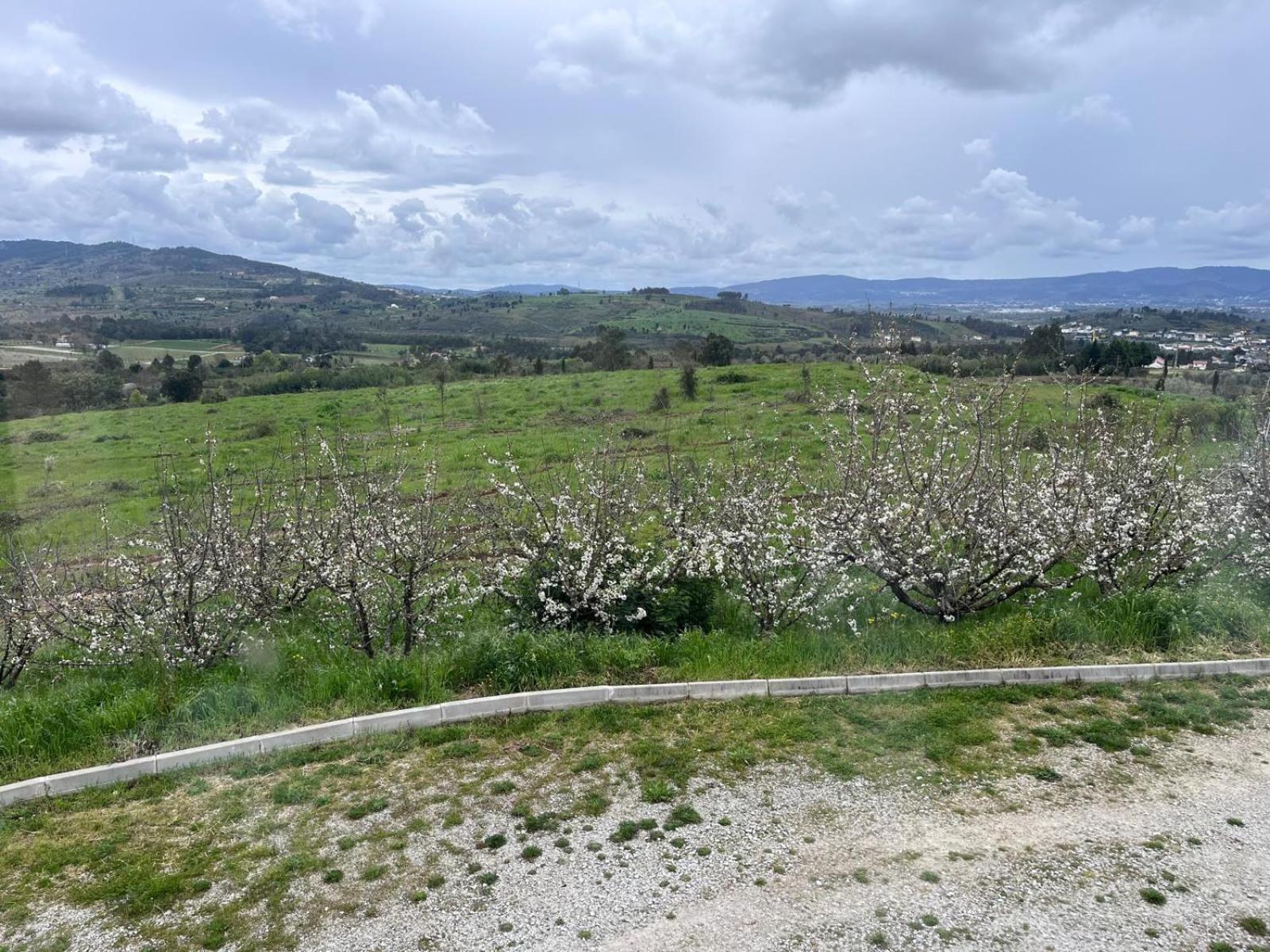 Tranca Da Barriga - Casa Do Vinho By Quinta De Sao Tiago Séjour à la ferme