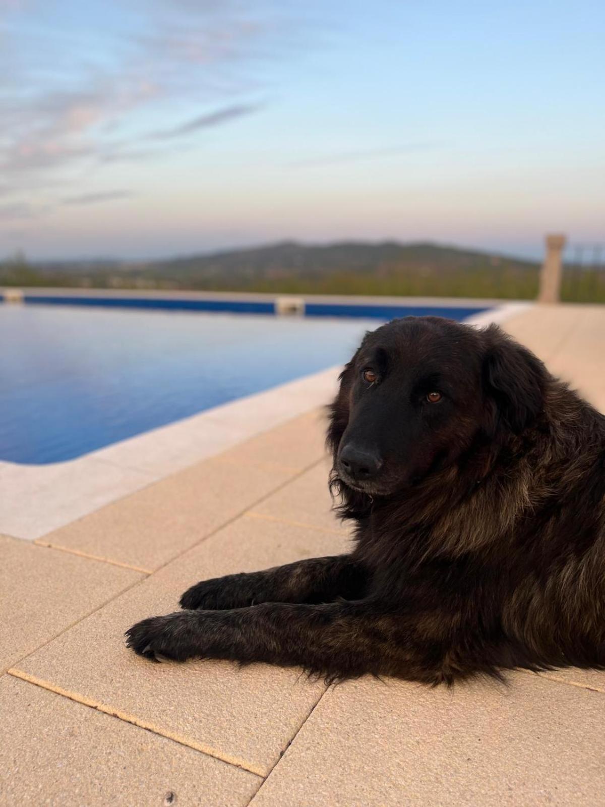 Tranca Da Barriga - Casa Do Vinho By Quinta De Sao Tiago Covilhã