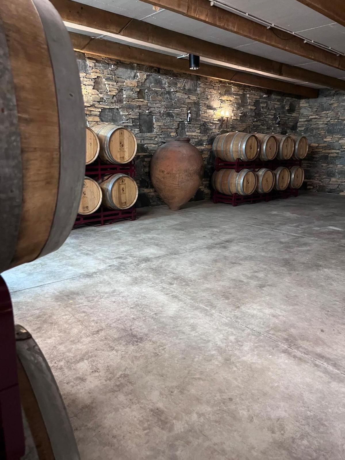 Séjour à la ferme Tranca Da Barriga - Casa Do Vinho By Quinta De Sao Tiago